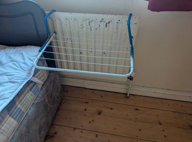 drying rack radiator