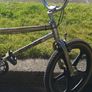 Raleigh Burner Image 3