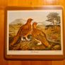 Coasters.GAME BIRD THEME.  For Use Or Display. Image 2
