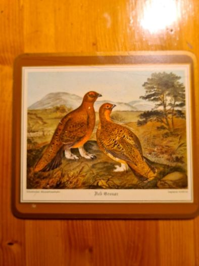 Coasters.GAME BIRD THEME.  For Use Or Display.