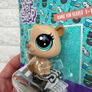 Littlest Pet Shop Bonnie Von Beaver 1-135 LPS Please see pictures Image 5