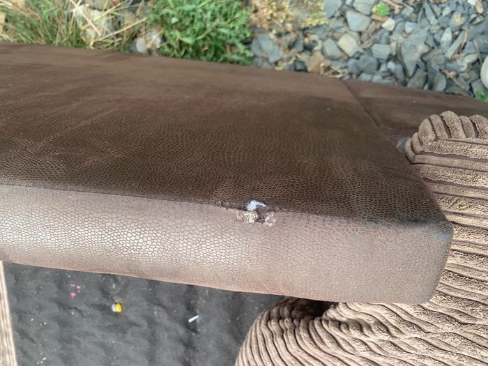 sofabed