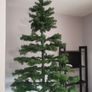 Christmas Tree Image 3