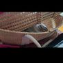 moses basket with stand Image 3