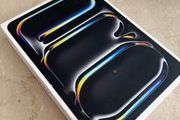 iPad Pro 11inch M4 256GB + Cellular