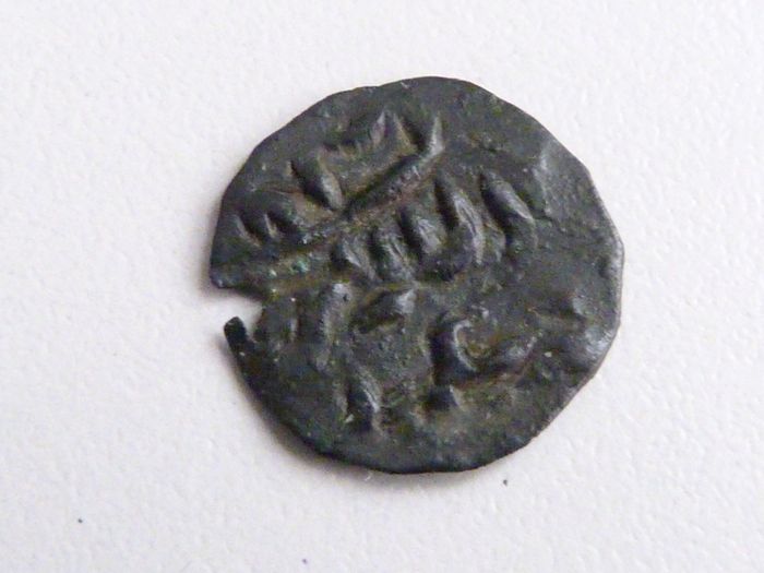 Ancient Mogadishu 1 fals