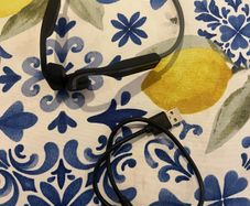 Shokz openmove