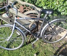 Planet Parkway Gents Bike