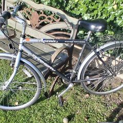 Planet Parkway Gents Bike