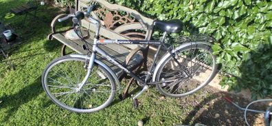 Planet Parkway Gents Bike