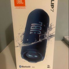 JBL Flip 7 Speaker