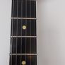 Reverend Reeves Gabriel Signature Dirtbike Guitar Image 5