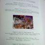 The book of Tara Ireland Irish Co. Meath local history by Michael Slavin Image 3