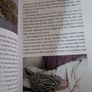 Hedgehog / Hugh Warwick / 1st ed/ 2015 Image 7