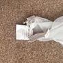 Bugaboo Cameleon Sun Canopy & Mosquito Net Image 6