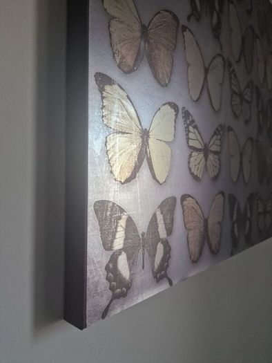 butterfly canvas decor