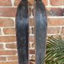 Skis - Vintage1960s - Polar - Made in Austria Image 6