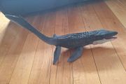 Dinosaur Mosasaurus