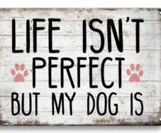 Life Isn't Perfect, But My Dog Is : Metal Sign