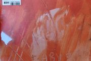 Petrol Girls Baby Lp