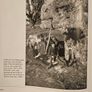 Forest Images. Fr Browne's Woodland Photographs From Emo Court Co Laois. Fabolous FIRST EDITION Large Volume Hardback In Good Condition.  See Photos For Same. Image 10