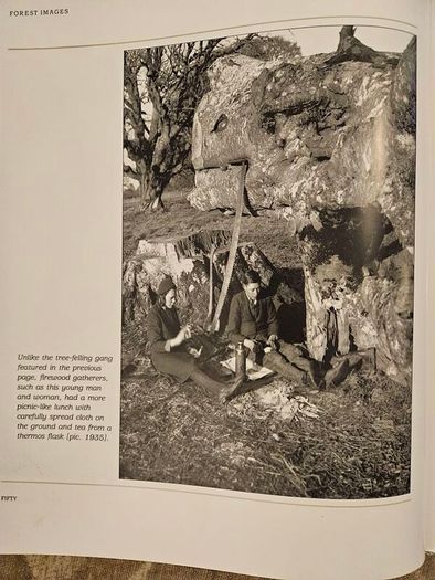 Forest Images. Fr Browne's Woodland Photographs From Emo Court Co Laois. Fabolous FIRST EDITION Large Volume Hardback In Good Condition.  See Photos For Same.