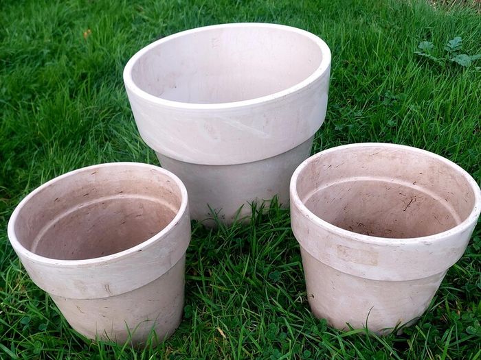 Plant Pot
