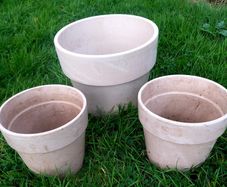 Plant Pot