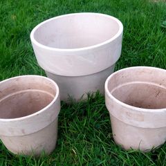 Plant Pot