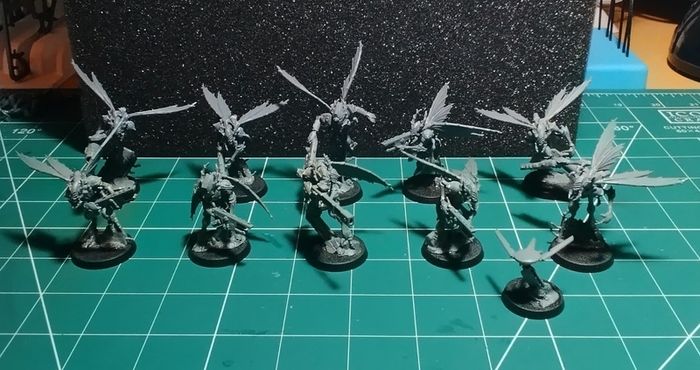 Warhammer 40k Kill Team Vespid Stingwings