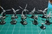 Warhammer 40k Kill Team Vespid Stingwings