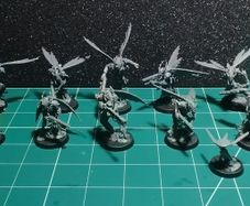 Warhammer 40k Kill Team Vespid Stingwings