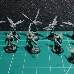 Warhammer 40k Kill Team Vespid Stingwings