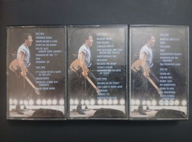 Bruce Springsteen live 1975-1985