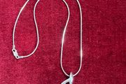 Sterling Silver Chain with Large Silver Pendant