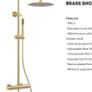 Shower Brushed Brass luxury thermostatic exposed shower set Image 8