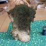 Dog ornament Image 6