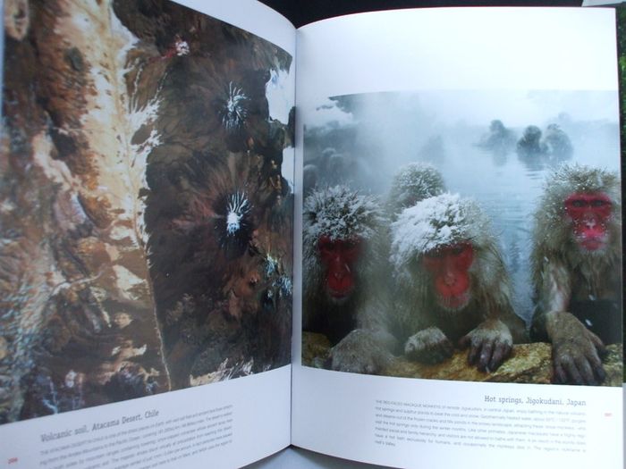 SALE!  VOLCANO - Portrait Of A World On Fire by Donna O'Meara