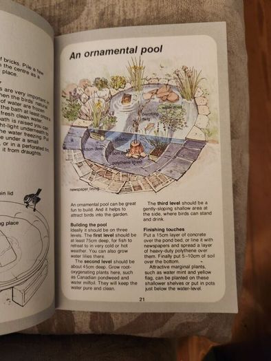 Whizz Kids. Birdwatching First Edition Vintage 1979 Paperback In Good Condition. 36.