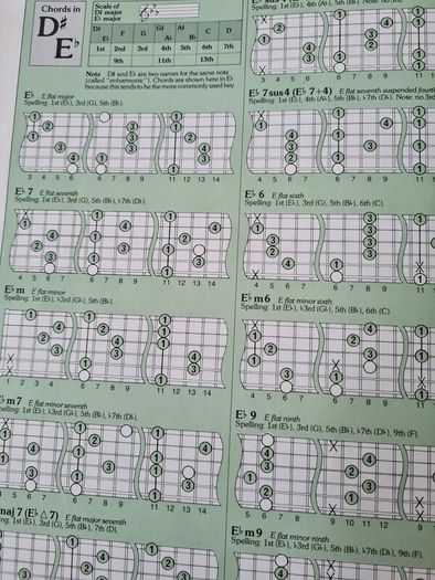 The Guitar Handbook By Ralph Drnyrr. Large Vole Book Of 251 Pages For Amature & Professional.