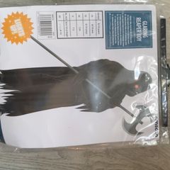 halloween costume