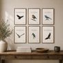 Gallery Style Art Prints (21cm x 30cm) Image 2