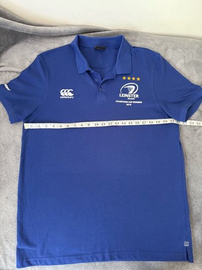 Leinster rugby squad issue homecoming polo 2018 win