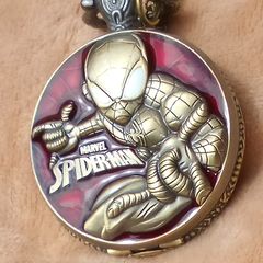 Spiderman on the Edge of Time!