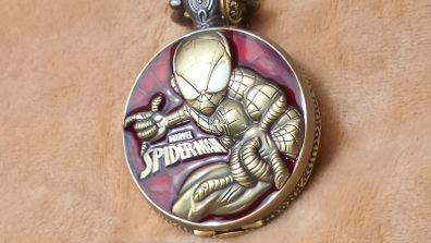 Spiderman on the Edge of Time!