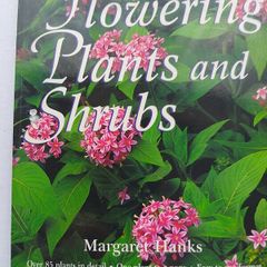 Flowering Plants And Shrubs
