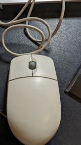 Mouse