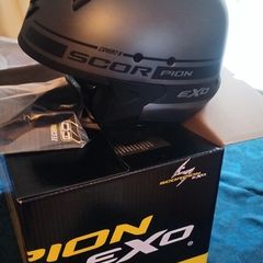 Scorpion Helmet