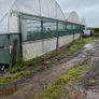 Polytunnels Image 7