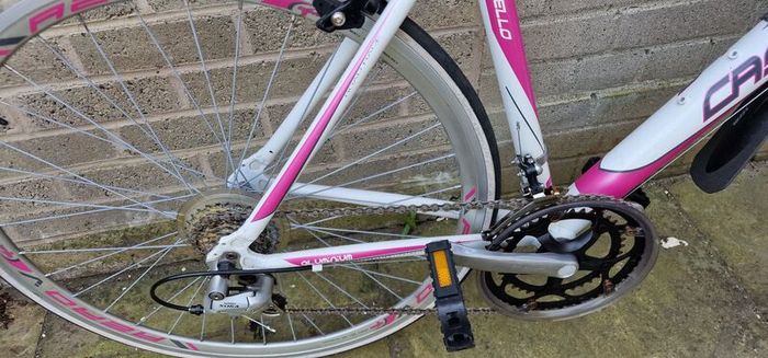 adult Bike  lady's bike road bike